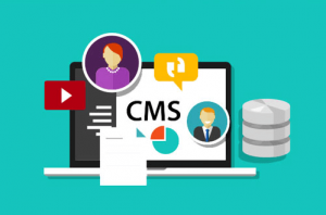 Sử dụng CMS để làm web.