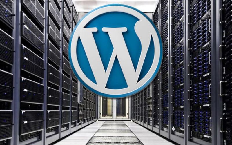 wordpress hosting website