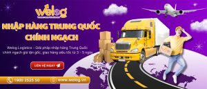 Dịch vụ nhập hàng Trung Quốc chính ngạch tại WeLog Logistics